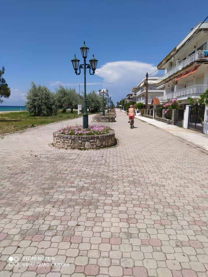 Hause Zorbas Aparthotel Paralia Dionysiou Exteriör bild