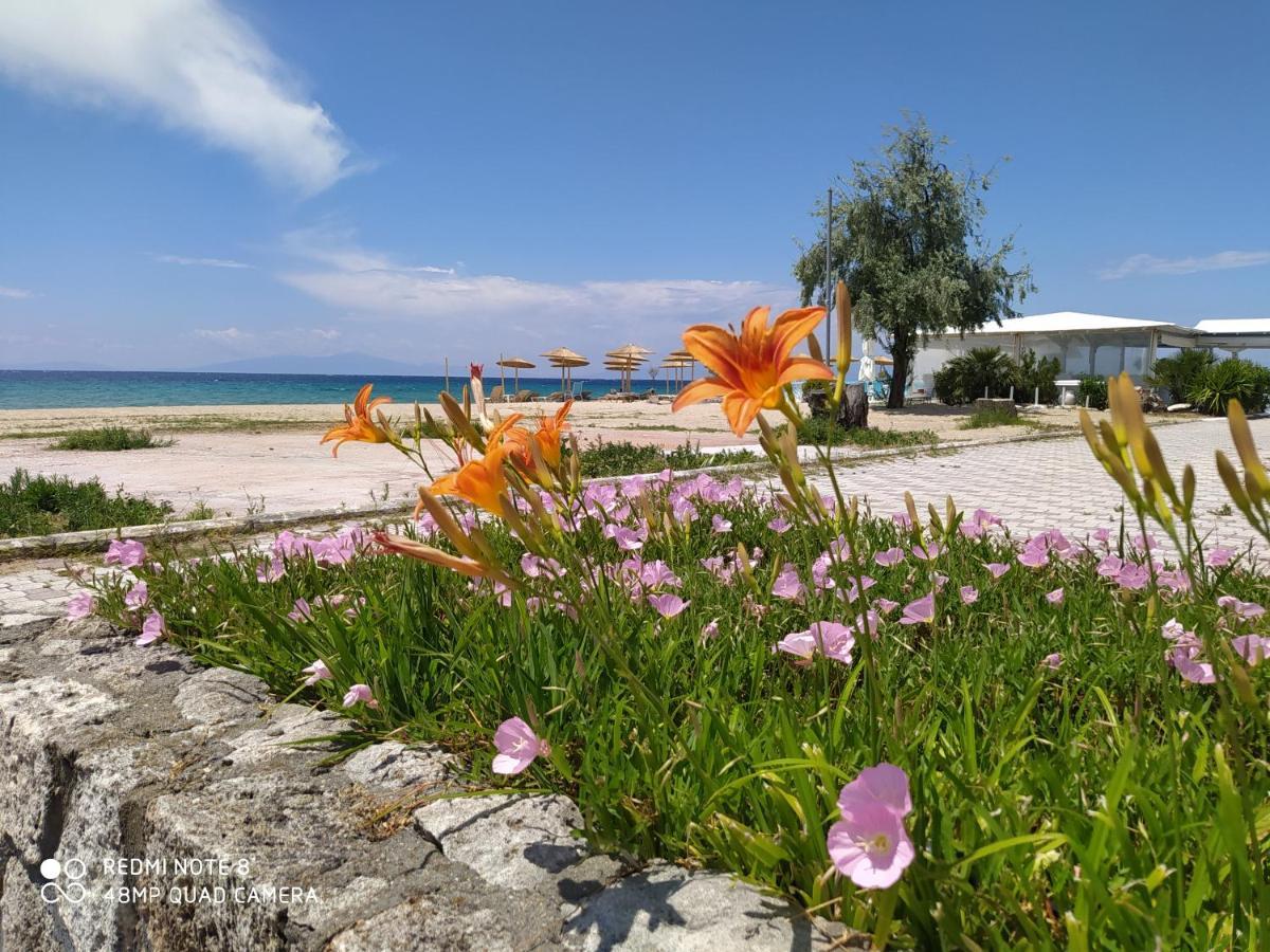 Hause Zorbas Aparthotel Paralia Dionysiou Exteriör bild